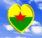 PKK_Logoya_Dil_2.gif