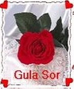 Gula_Sor_xy2..jpg